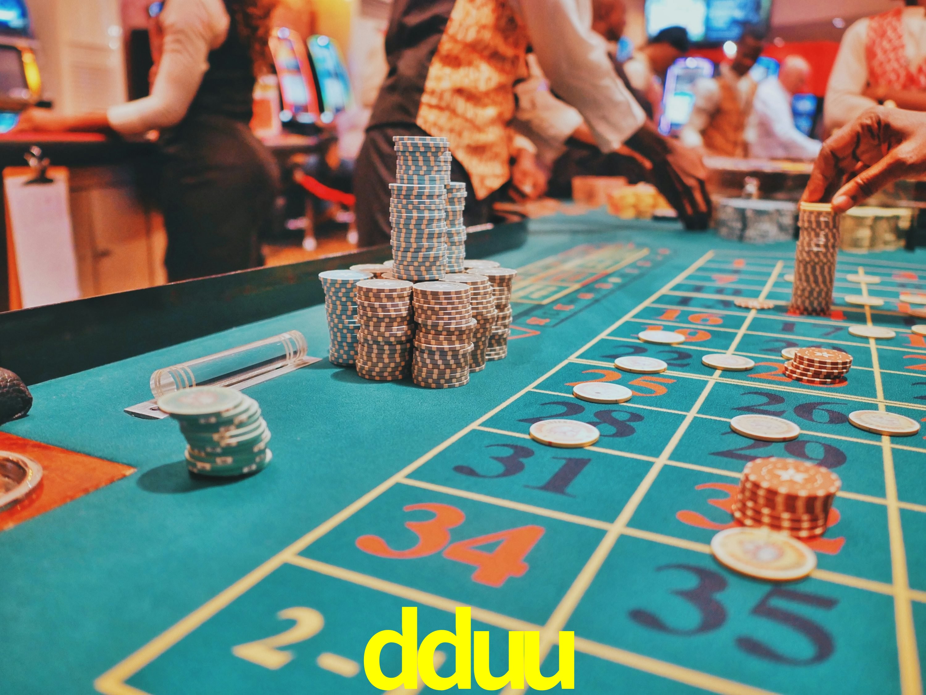 Programa VIP dduu